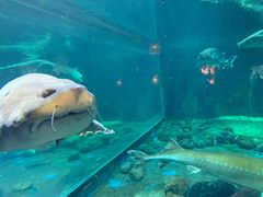 -华夏文旅海洋公园