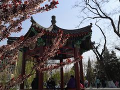 -西海子公园