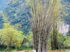-靖西鹅泉风景区
