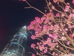 -深圳湾万象城(南山店)