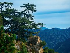 -圣莲山风景区