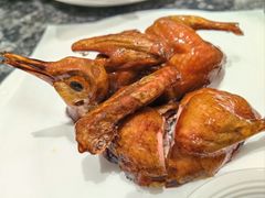 -頂好酒家·经典粤菜(海信广场店)