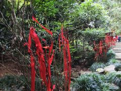 -梦姑塘文化公园