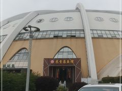 -丁老爷子苏香圆