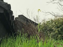 -缥缈峰景区