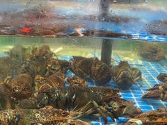 -和源祥·日照菜扛把子(万平口一店)