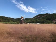 -蛇蟠岛