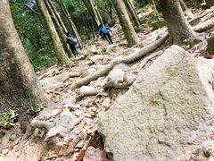 -火炉山森林公园