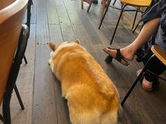 -肥朵食堂(带梦胡同店)