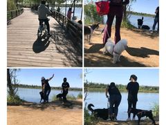 -北京市海淀区翠微小学