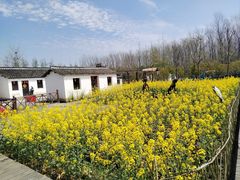 -溱湖国家湿地公园