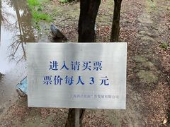 -安方塔