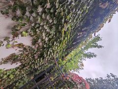 -熙古里艺术村