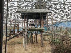 -鄂尔多斯野生动物园