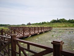 -上海海湾国家森林公园