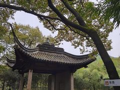 -兰亭风景区