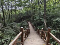 -大岭沟猕猴桃谷风景区
