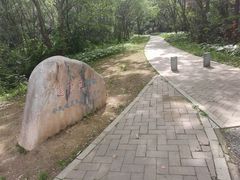 -青龙山国家森林公园