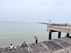 -东疆建设开发纪念公园