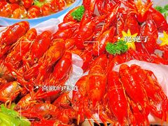 -京悦南门涮羊肉·羊蝎子火锅(田林路店)
