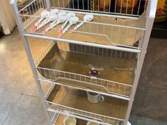 -烹湘·鲜炒湖南土菜(海珠店)