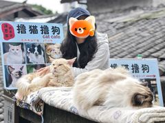 -磁器口古镇