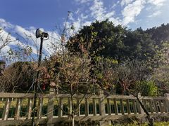 -乌山风景区