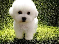 -宋记冕宁土菜馆(海门渔村二店)