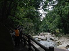 -大鄣山卧龙谷景区