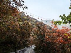 -周口店坡峰岭风景区