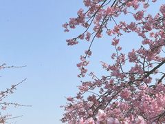 -上海辰山植物园