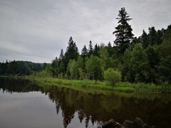 -五营红松林海景区