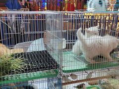 -万达广场(泰安泰山店)