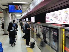 -大望路(地铁站)