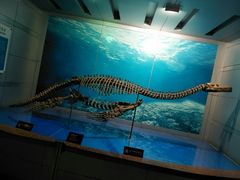 -自贡恐龙博物馆