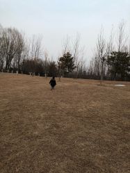 -大望京儿童游乐场