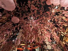 -唐山宴大唐州府精品中餐