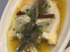 清蒸大黄鱼-银都上海菜馆(粤海东路店)