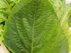 -艺林烤肉城(光明店)
