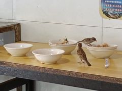 -老济南药膳把子肉(周公祠街店)