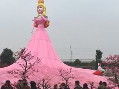-秀丽东方