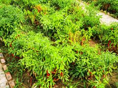 -意大利农场度假村