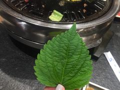 -完美生活炭火烤肉(二马路店)