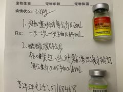 -喜洋洋宠物医院(震川路总店)