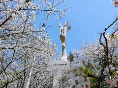 -武汉大学-樱园