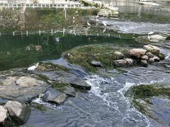 -丝恋丝娃娃(逸天城国贸店)