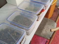 -桔子海鲜烧烤大排档(台东店)