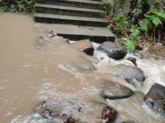 -火炉山森林公园