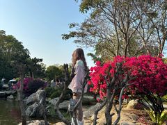 -东莞植物园