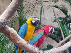 -杭州开元森泊度假乐园